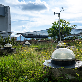 Carrusel Convocatoria - 01